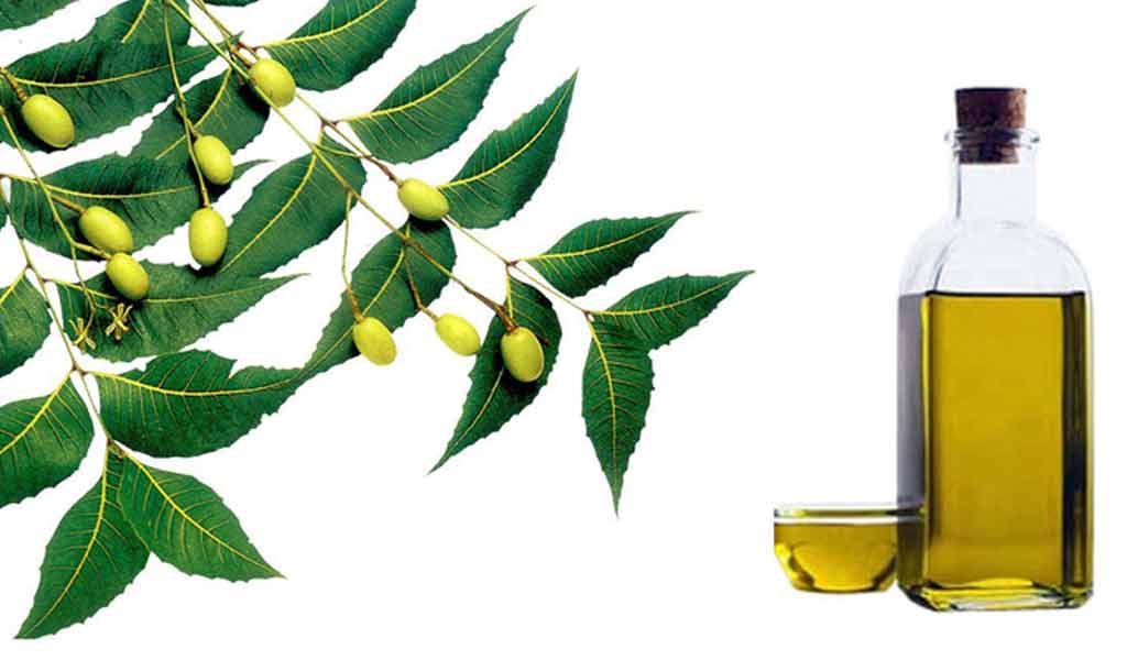 নিম তেল