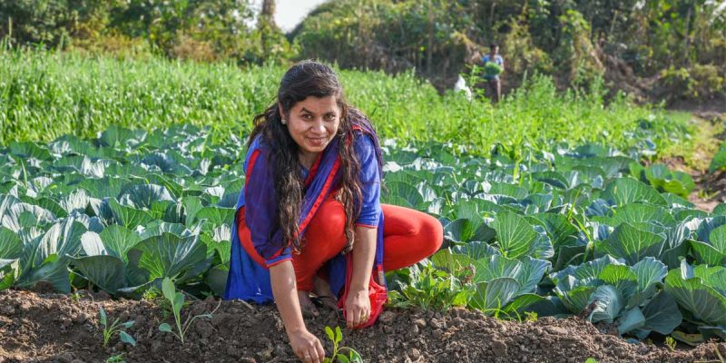 মেয়েরা কোন কোন হাতের কাজ শিখে নিজের পায়ে দাঁড়াতে পারে