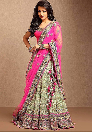 Pink Net Lehanga Choli