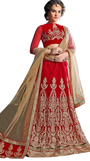 Net Lehenga Choli
