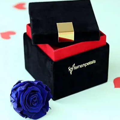 blue rose