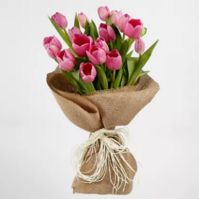 tulip