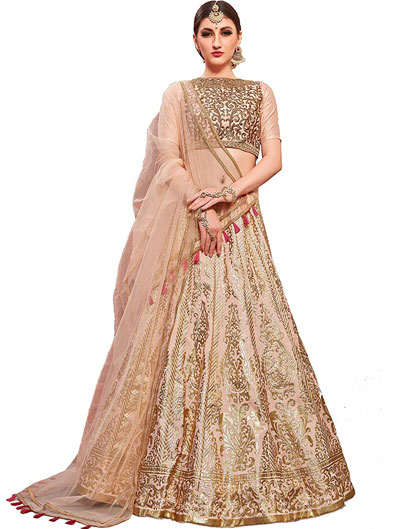 Salmon Pink Lehenga choli