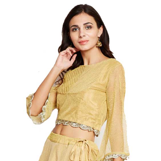 Embroidered Gold Net Solid Blouse