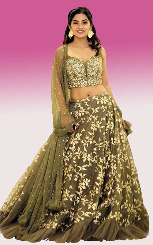 Taffeta Silk Embroidered Lehenga Choli