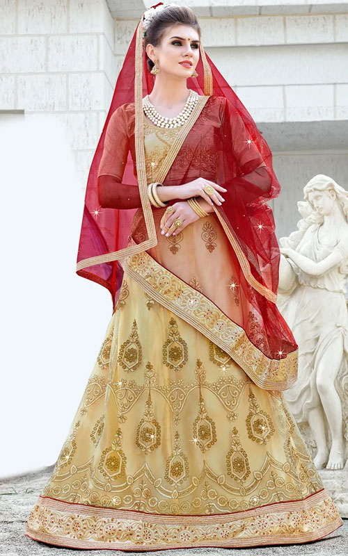 Embroidered Net Lehenga in Beige