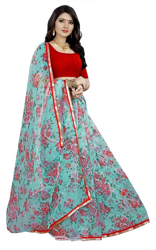 Sky Blue Floral Organza Saree