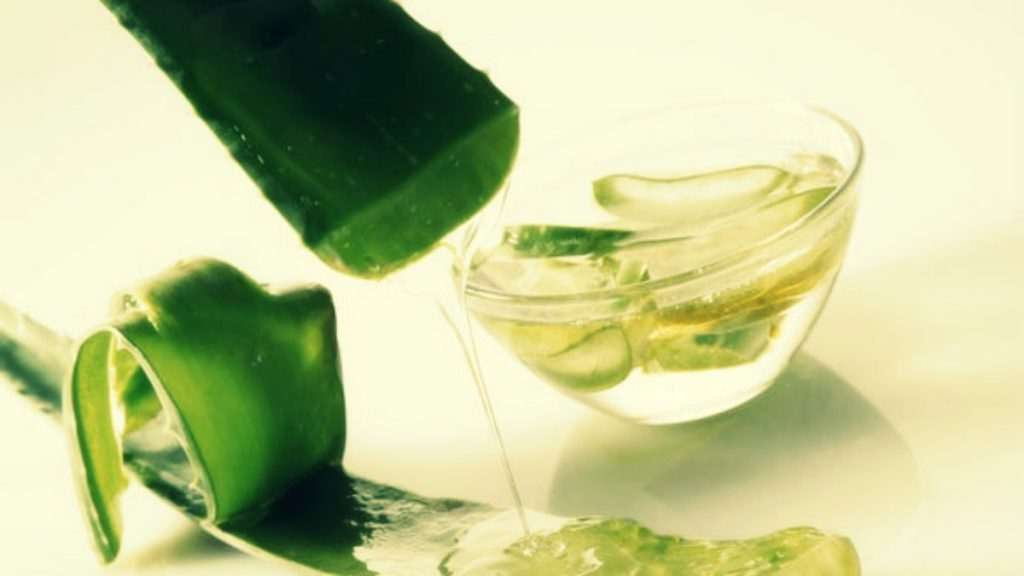 aloevera