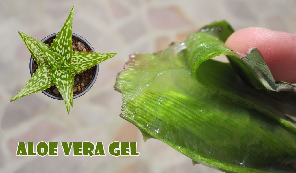 aloe vera gel