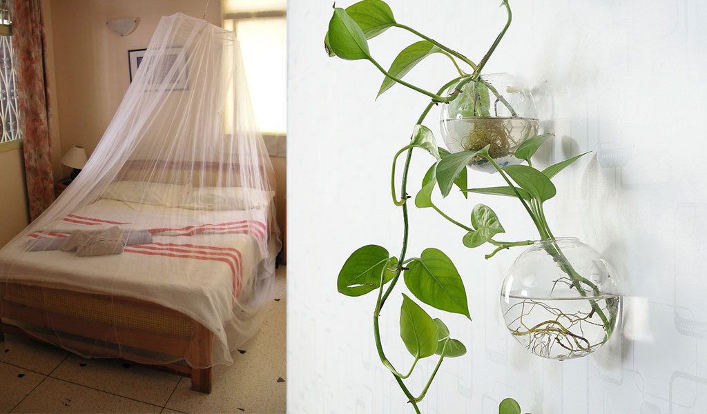 use Mosquito nets change water flower vases