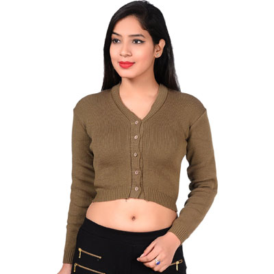 Long Sleeves Sweater Style Blouse