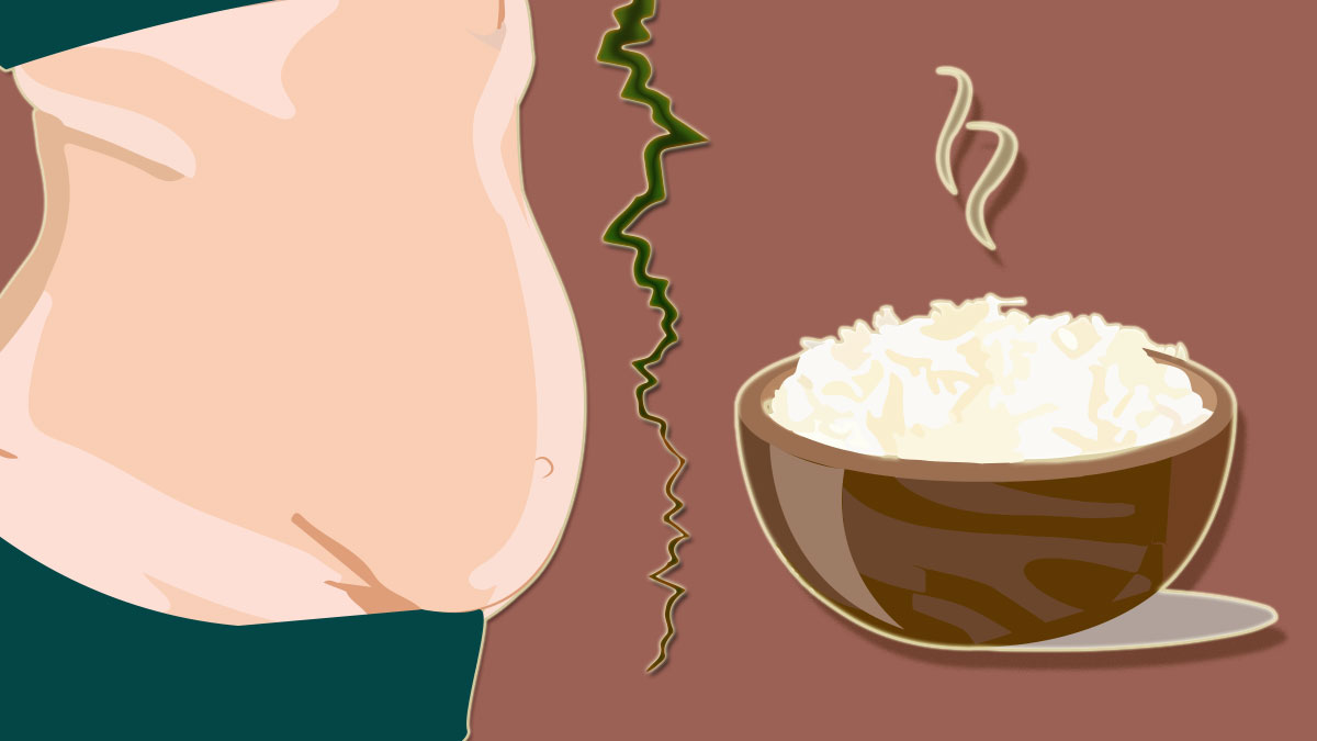 belly fat rice