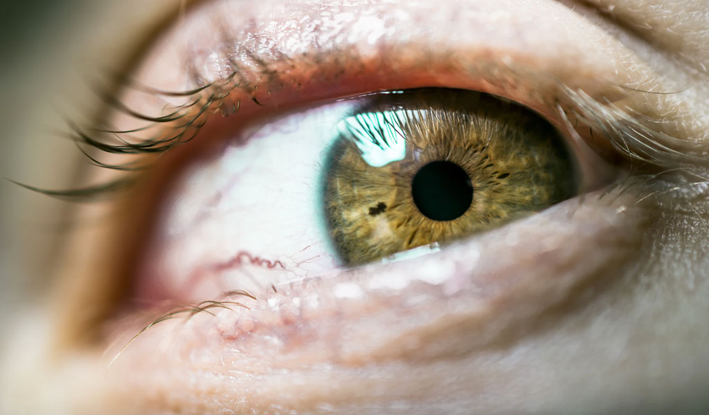 brown green colour eye