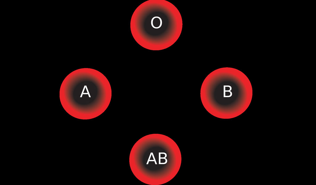 A,B,O,AB blood group