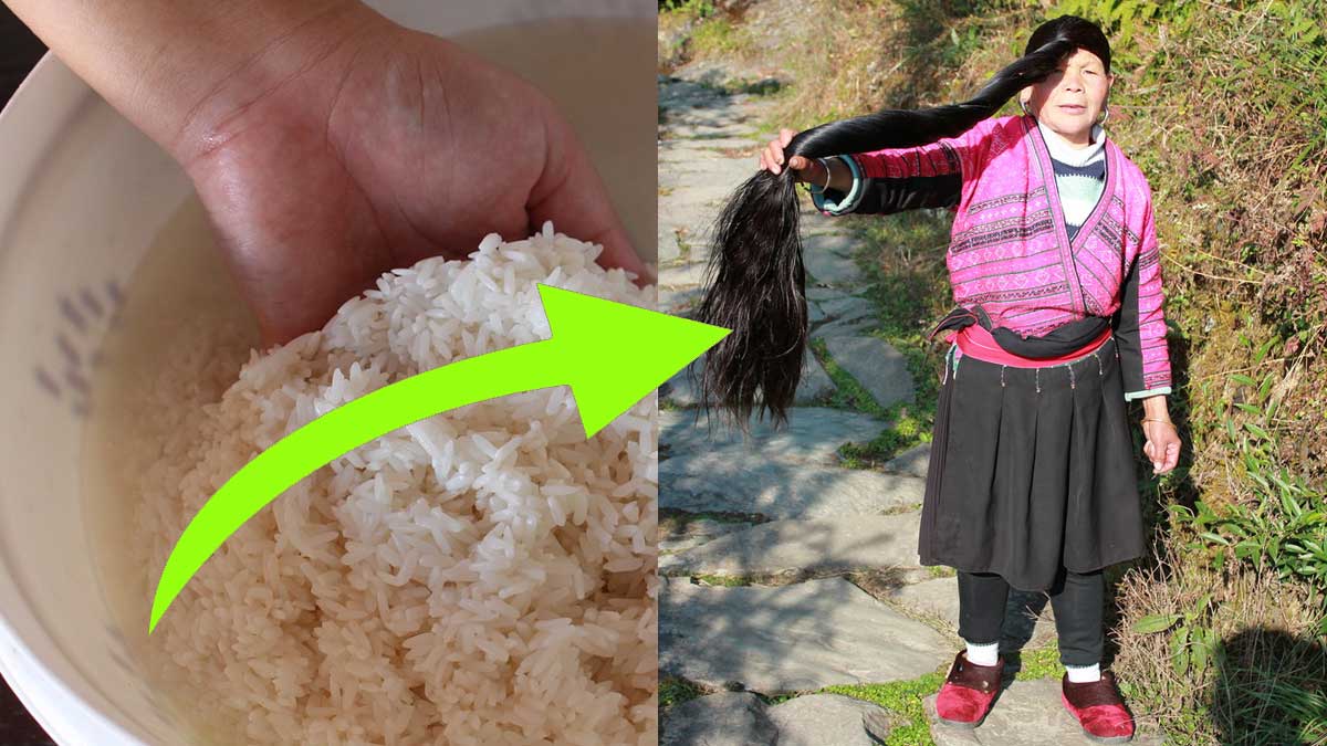 use rice water get strong and long hair