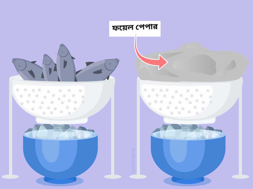 ফ্রিজে মাছ রাখা