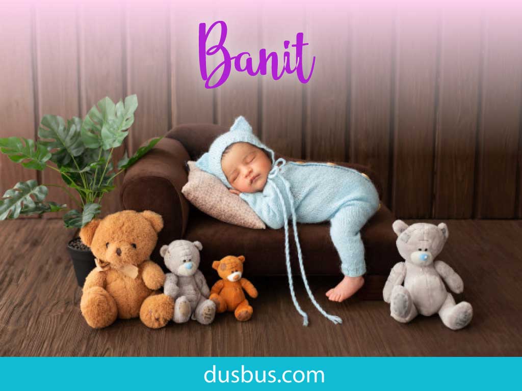 baby boy name: Banit