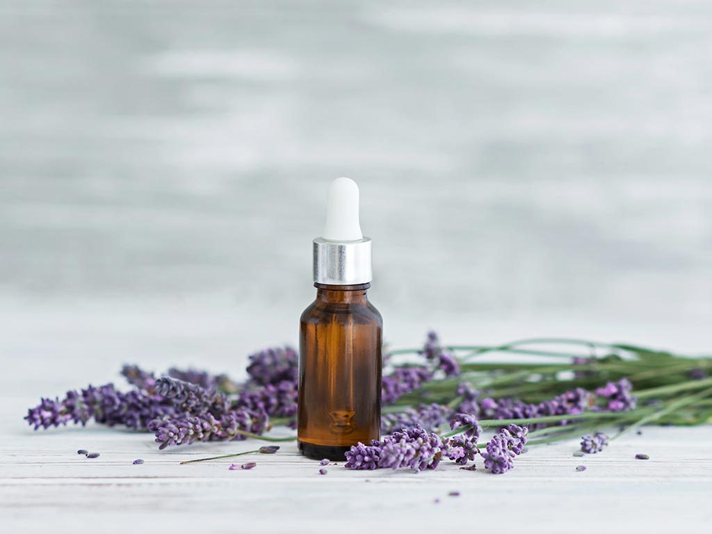 lavender oil