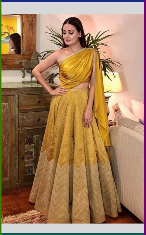 Modern Blouse with Lehenga