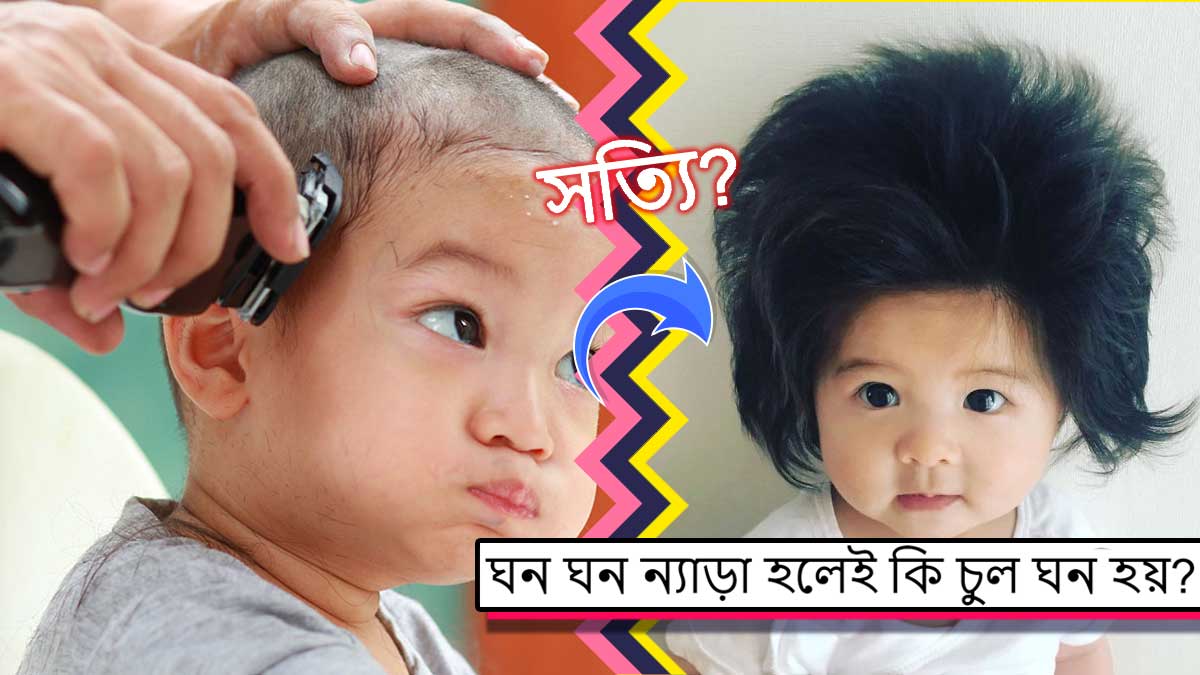 ন্যাড়া হলেই কি চুল ঘন হয়?