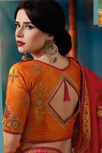 blouse back design 14