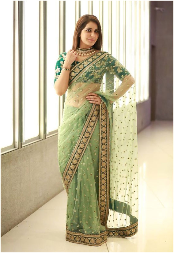 Transparent Green Saree