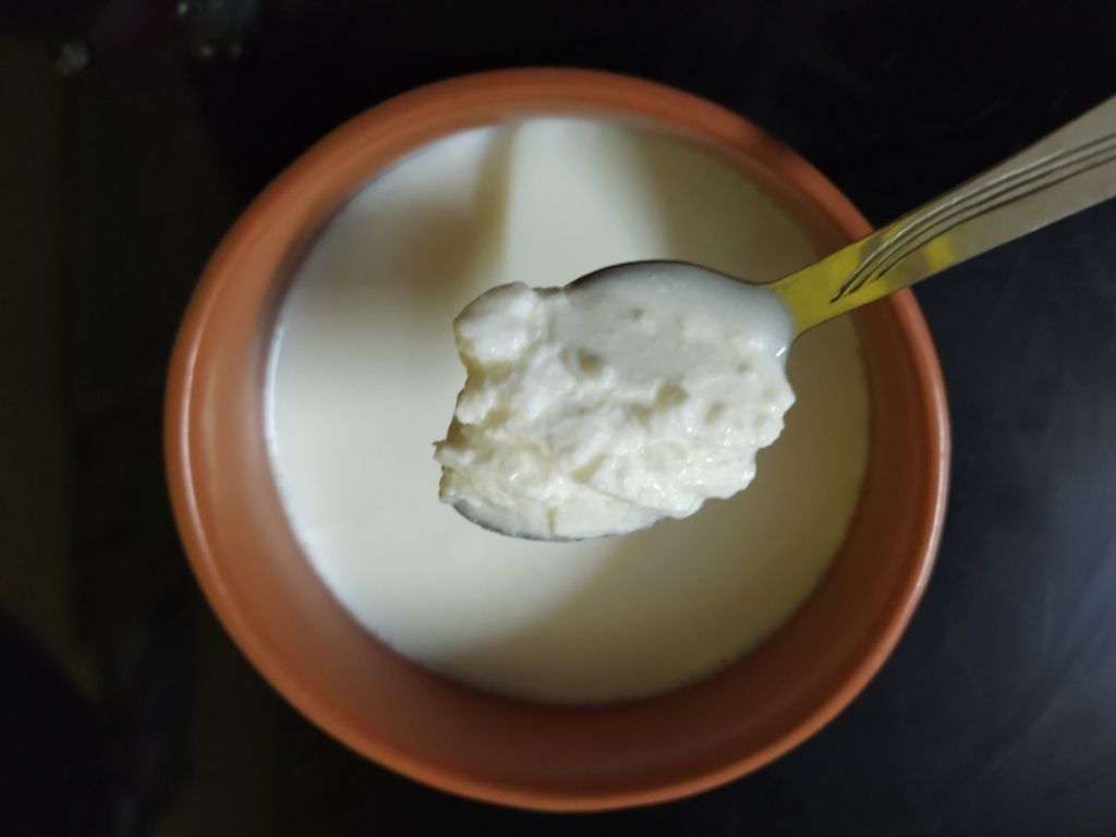 दही बनाने के लिए टिप्स
