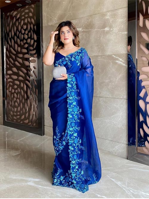 Fancy Organza Silk Saree