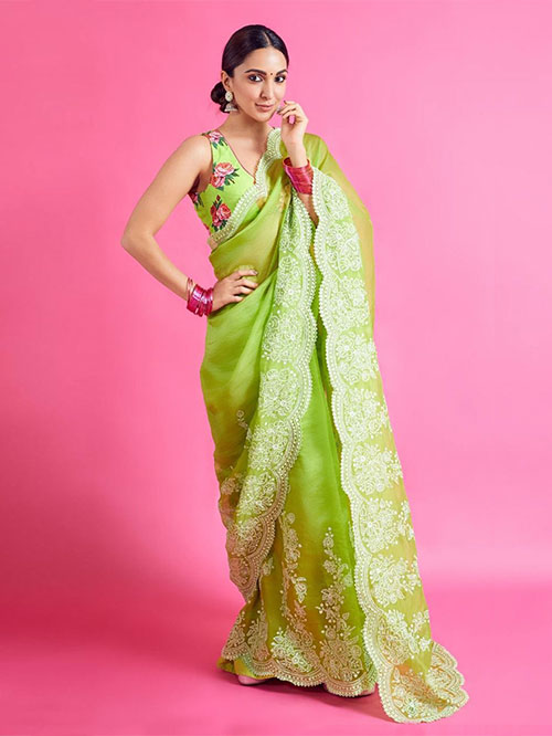 Organza Net Saree
