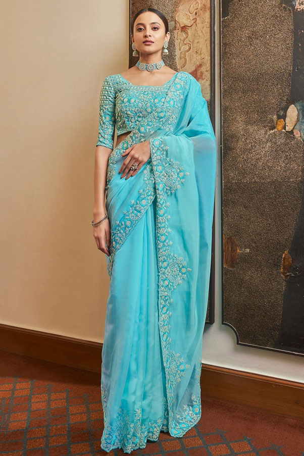 Sky Blue Organza Embroidered Saree