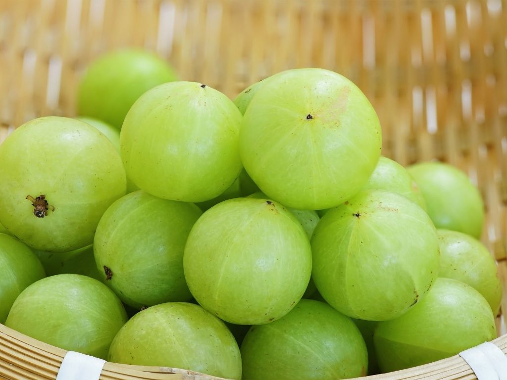 Amla