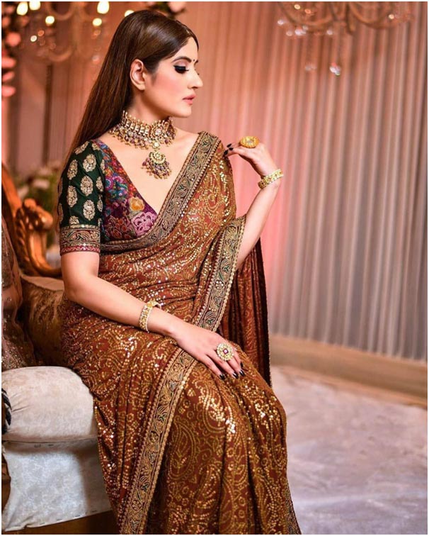 Heavy Border Work Brown Sequin Work Saree