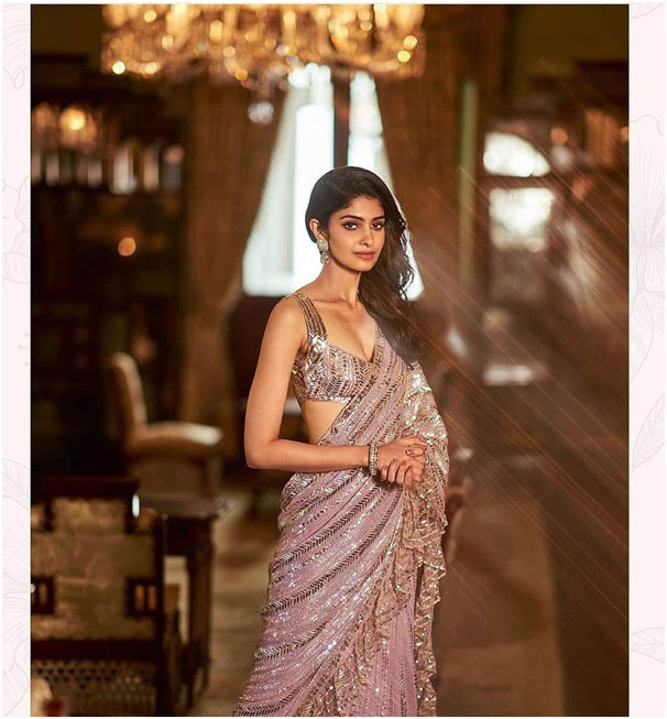 Rose Gold Ruffle Sequin Work Saree