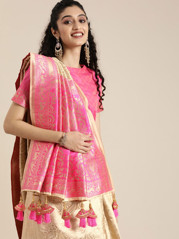 Front Pleated Banarasi Saree