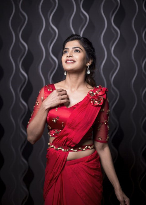 Draped Pallu Red Blouse Design