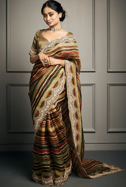 Cut Border Work Organza Saree
