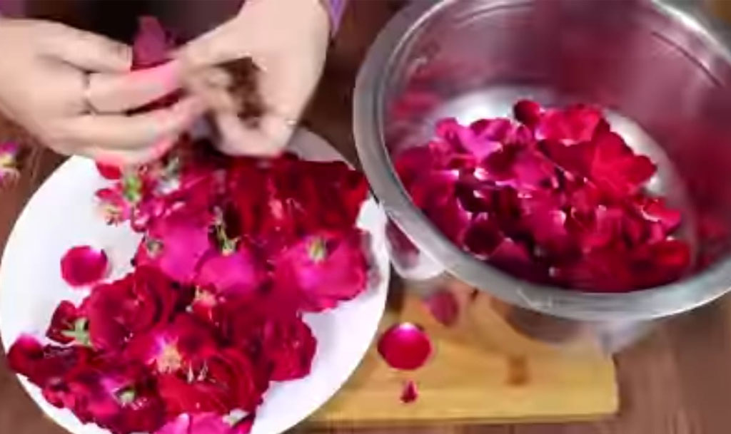 removing petals from rose