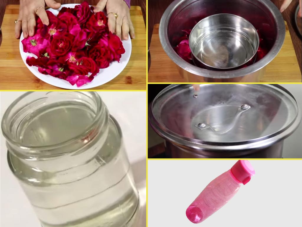 Required ingredients for making rose water