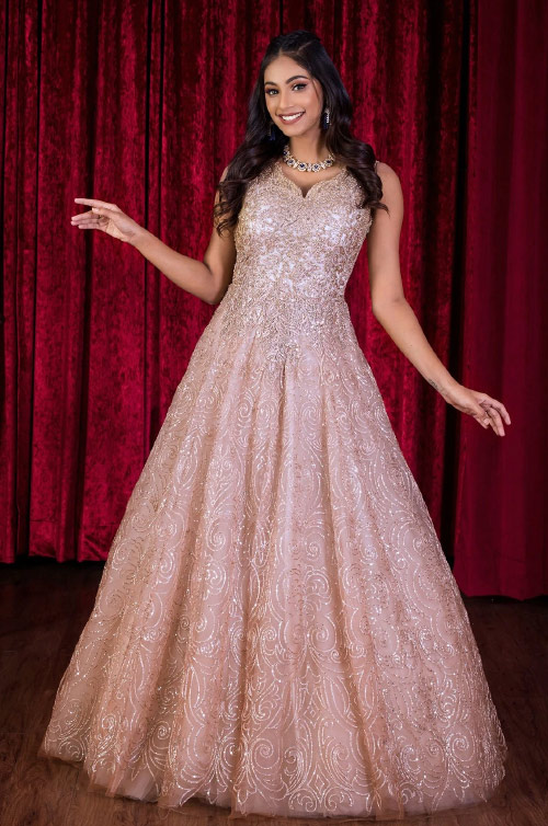 Sequin Work Net Gown