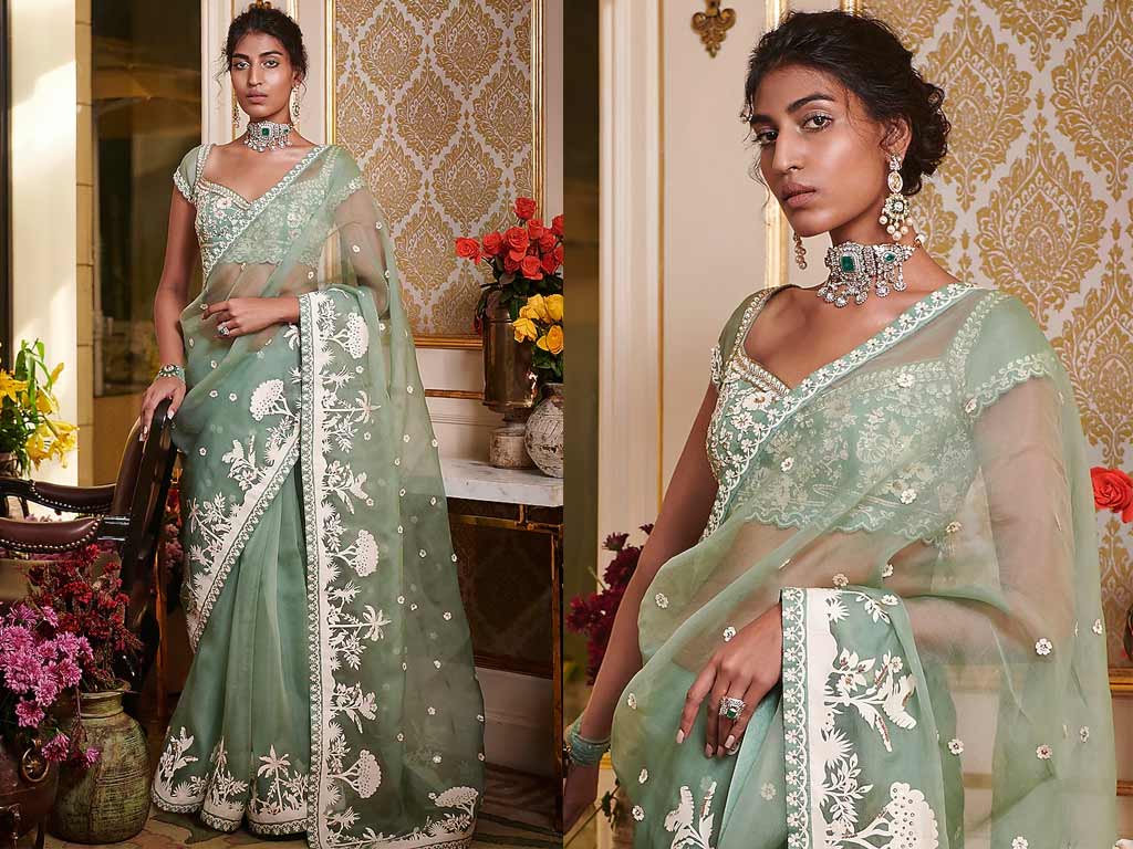 Aqua Green Net Saree