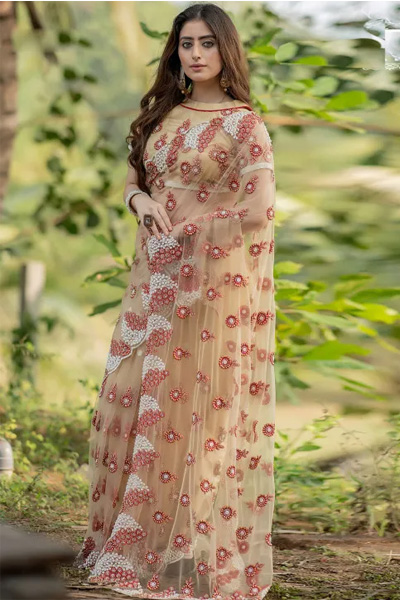 Beige Net Designer Saree