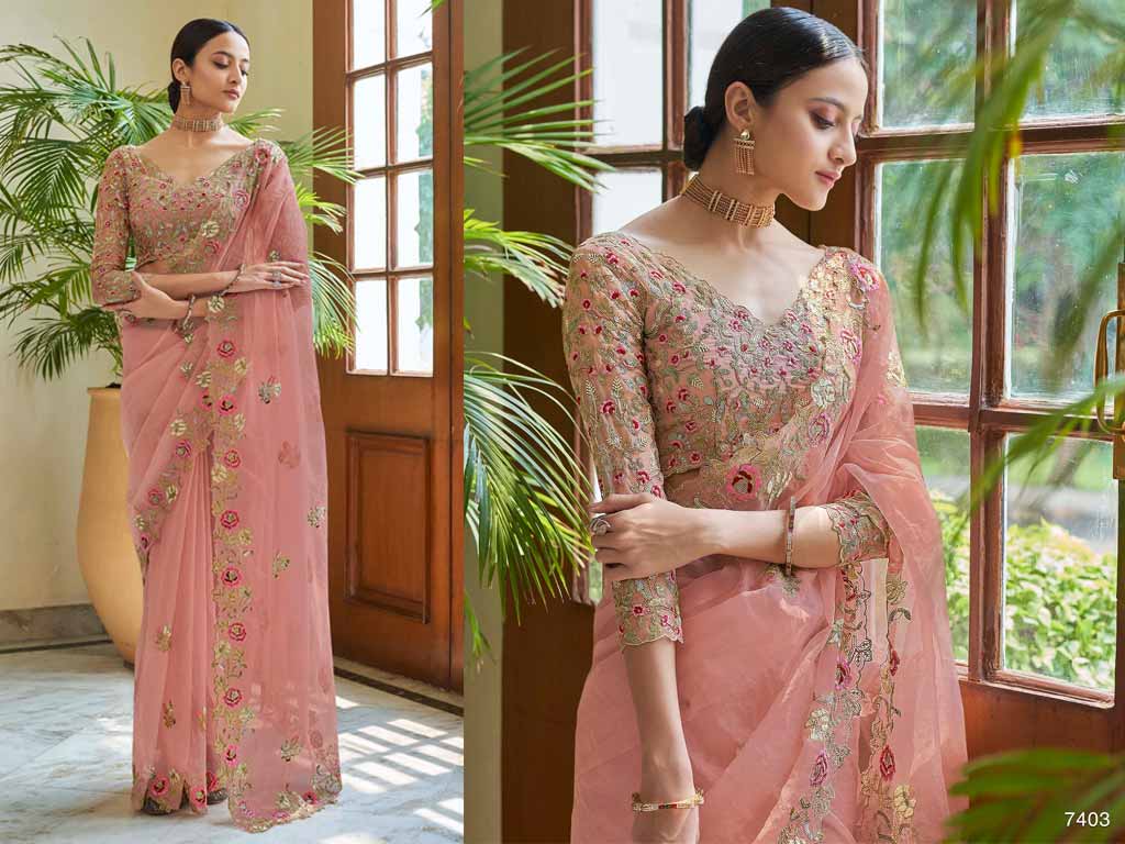 Peach Organza Saree With Designer Blouse