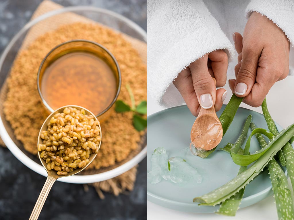 methi and aloe vera gel