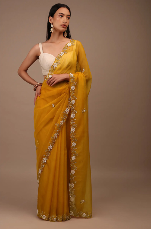 Organza Saree With Floral Embroidery