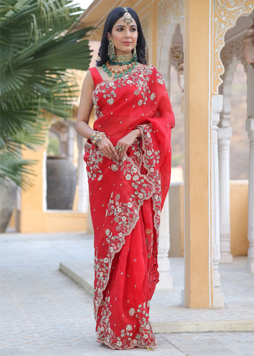 Zardogi Work Red Saree