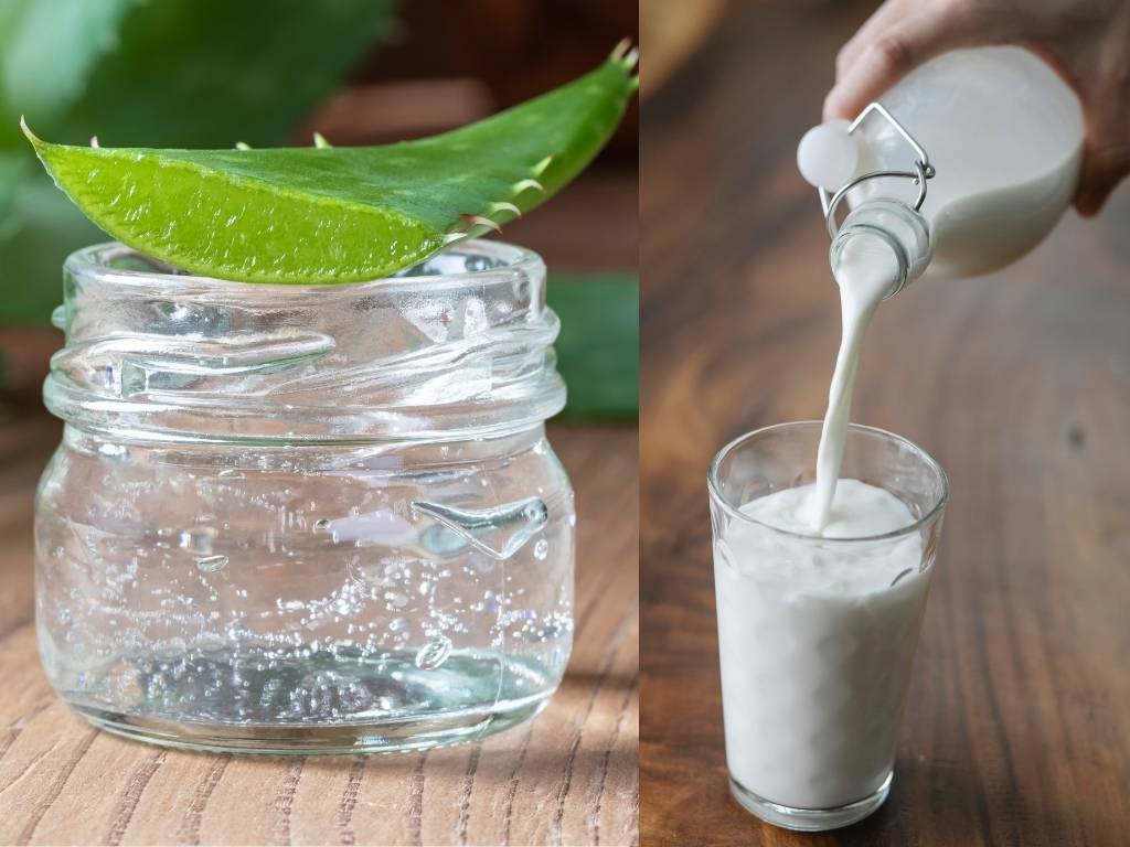 Aloevera Gel, Milk