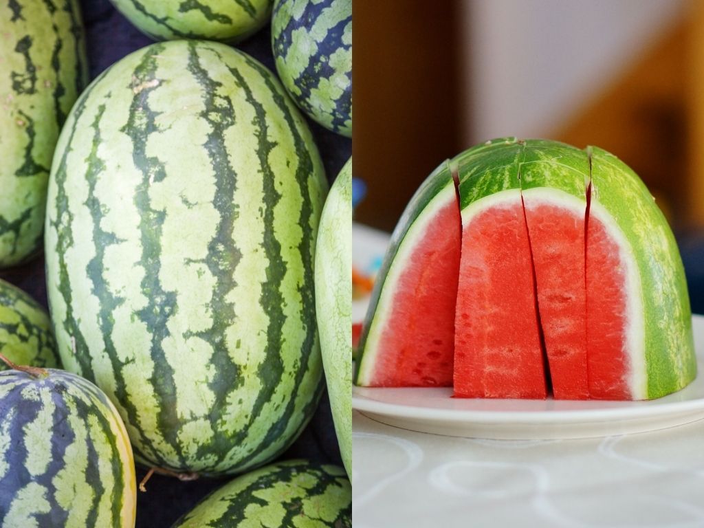 Oval Shaped Water Melon