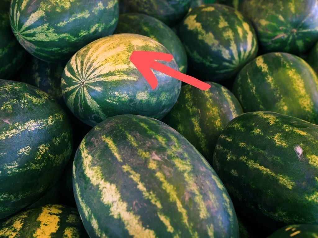 Water Melon, Arrow