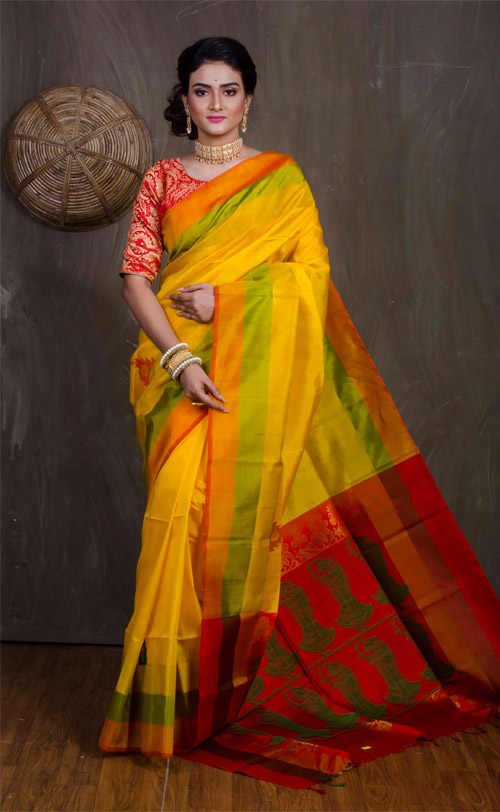 Yellow And Red Pochampally Saree