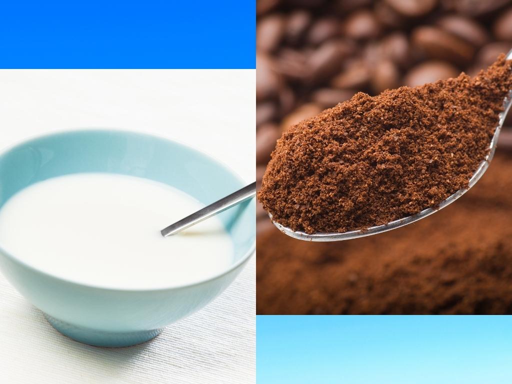 milk coffee powder